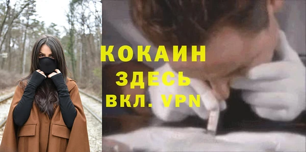 гидра Медвежьегорск
