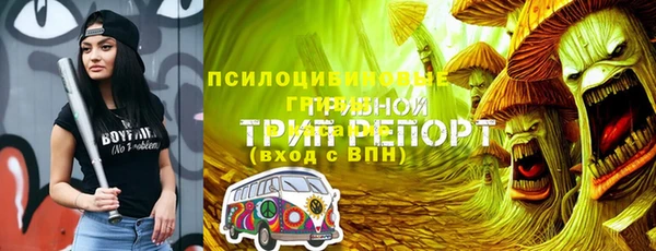 герыч Медногорск