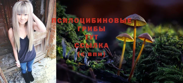 герыч Медногорск