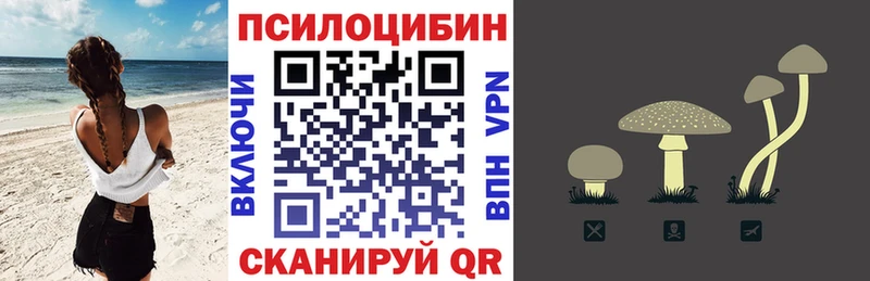Галлюциногенные грибы прущие грибы  цены наркотик  Нюрба 