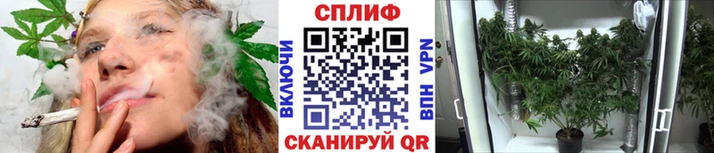 ссылка на мегу ССЫЛКА где купить наркоту Нюрба Бошки Шишки THC 21%